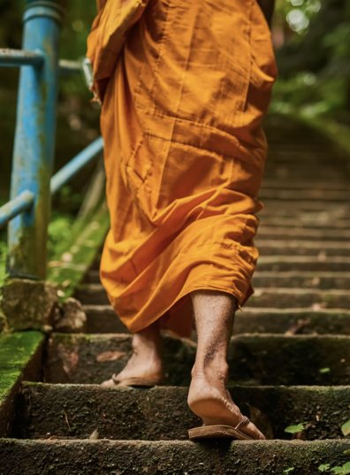 Monk in orange robes climbing mossy steps
